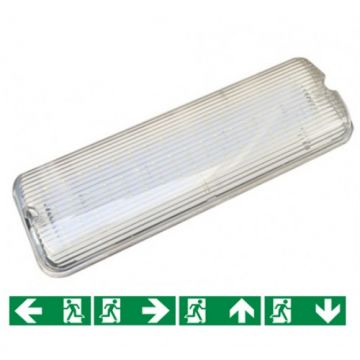EDISON Auto 8 uur / nood- of vluchtwegverlichting